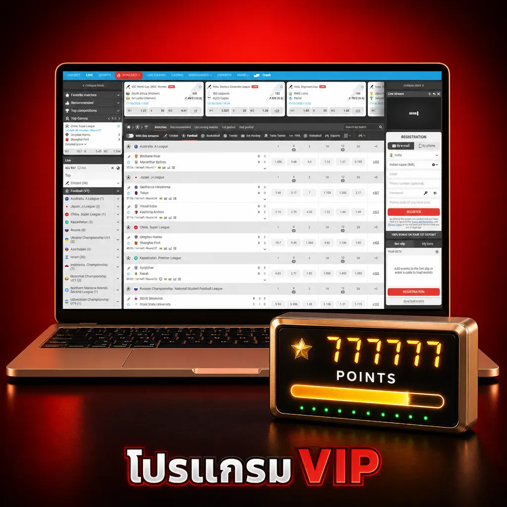 โปรแกรม VIP MegaPari ระดับความภักดี 5 ขั้น ตั้งแต่ Beginner ถึง Legend พร้อมสิทธิพิเศษ